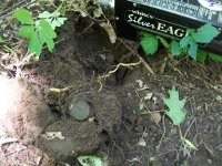 AUG 4TH CELLAR HOLE LC KNEE BUCKLE 001 [640x480].jpg