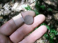 AUG 4TH CELLAR HOLE LC KNEE BUCKLE 008 [640x480].jpg