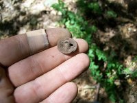 AUG 4TH CELLAR HOLE LC KNEE BUCKLE 009 [640x480].jpg