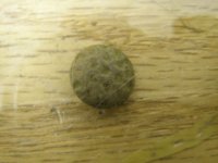 08-06-11 sm button - 2.jpg