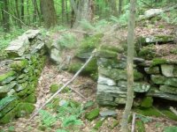 AUG 6TH CELLAR HOLE LC 006 [640x480].jpg