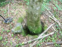 AUG 6TH CELLAR HOLE LC 002 [640x480].jpg