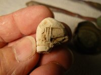 006Todays short hunt Wed..jpg