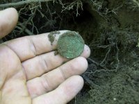 AUG 12TH CELLAR HOLE 1833 MATRON FATTY IH 012 [640x480].jpg