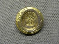08-17-11 Connecticut button.jpg