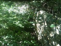IMG_0549.JPG