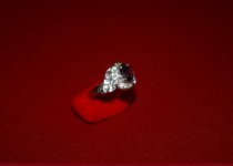Ring2.jpg