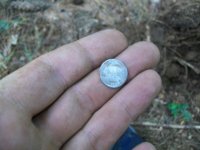AUG 21 hunt with rebel spanish silver 003 [640x480].jpg