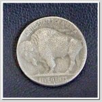 Buffalo 9.JPG