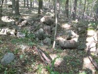 AUG 30th 3 copper day 007.jpg
