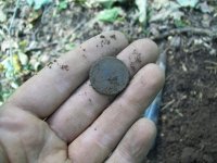 AUG 30th 3 copper day 002.jpg