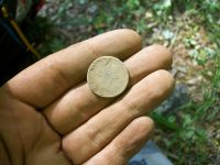 AUG 30th 3 copper day 006.jpg