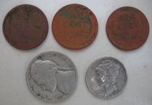 Silver Wheats 8-29.JPG