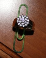 IMG_0233sm.jpg
