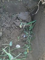 In the hole.JPG