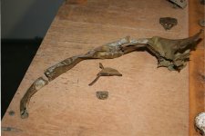 Finds 9 11 002 - Copy.JPG