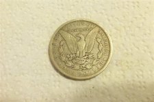 back of dollar.jpg