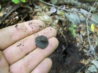 SEPT 11TH NEW CELLAR HOLES HOLED  1831 LC 002.jpg