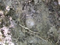 SEPT 11TH NEW CELLAR HOLES HOLED  1831 LC 009.jpg