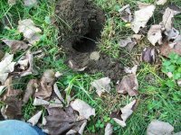 OCT 9th WEEKEND HUNT 001.jpg