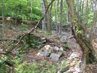OCT 9th WEEKEND HUNT 006.jpg