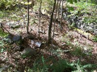 OCT 9th WEEKEND HUNT 018.jpg