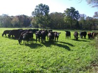 OCT 9th WEEKEND HUNT 010.jpg