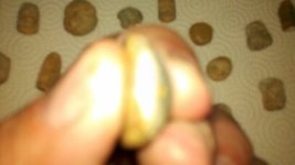 1318207772697.jpg
