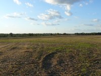 004Field across the road.jpg