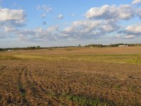 006Field across the road.jpg