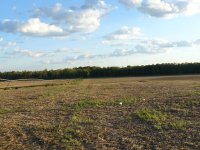 007Field across the road.jpg