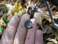 OCT 16TH  HUNT WITH SNIFFY BUTTONS 004.jpg