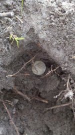 2011-10-09_18-16-29_492.jpg