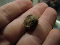DSCF3517.jpg