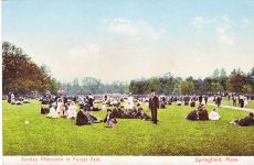 picnic ground.jpg