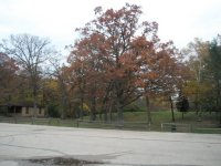PA250028.JPG
