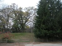 PA250030.JPG