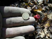 OCT 28th EARLY NAVAL BUTTON 005.jpg
