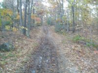 NOV 6TH BENT COPPER SADDLE SHIELD 005.jpg