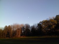 1105111731.jpg