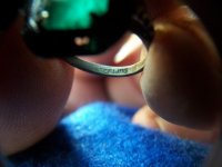 NOV 12TH LOWERED LAKE SILVER & GOLD 012.jpg