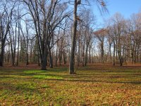 IMG_0269.JPG