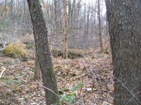 NOV 13TH HUNT WITH FRANK AND ROGER 2 IHS 004.jpg