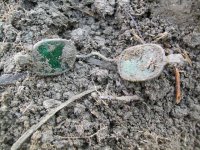 NOV 20TH  2 COPPERS GREEN SPECTACLES 003.jpg