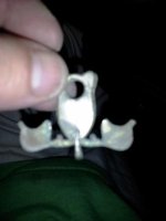 hanger thingy upright.jpg