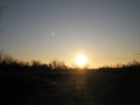 PB250009.JPG