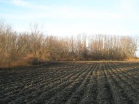 PB250014.JPG