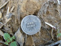 0021912 Mardigra Token.jpg
