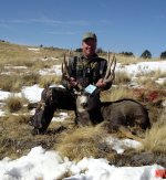 5x5Muley a.JPG
