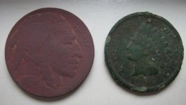 Buff Indian Head Nov.JPG